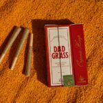 Семена конопли Auto Rhino Ryder feminised от Fast Buds img-1012.jpg