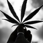 Анаша и ее последствия в Алматы img-1196.jpg