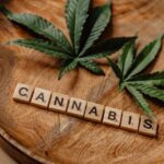 Семена конопли в Перми img-1504.jpg