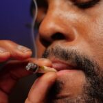 Семена конопли как корм для птиц img-1511.jpg