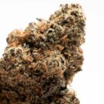 Покупка семян марихуаны и семян конопли поштучно img-2373.jpg