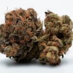 Семена конопли Morning Glory feminised от Barneys Farm img-2457.jpg