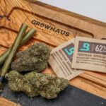 Легальность семян конопли в России img-2546.jpg