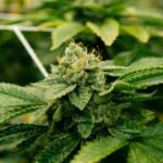 История и особенности Kraken Marketplace img-2683.jpg