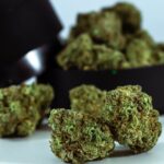 Конопля как наркотическое средство и лекарственное растение img-309.jpg