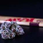 Пыльца конопли свойства и применение img-816.jpg